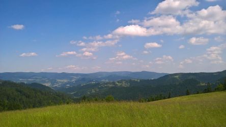 WP 20170620 13 55 31 Pro