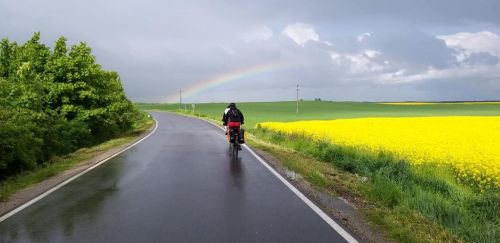 195485100 1911324555691145 6639150302518546329 n