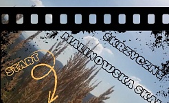 Werdowanie serafickie