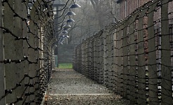 auschwitz